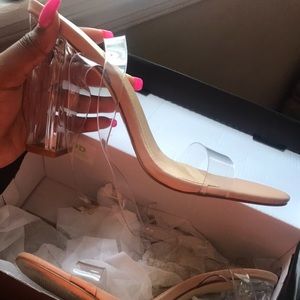 Nude Clear Heels